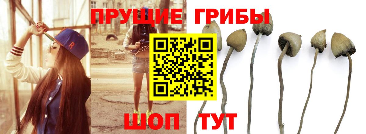 Лабытнанги  Галлюциногенные грибы MAGIC MUSHROOMS  Вход с VPN 